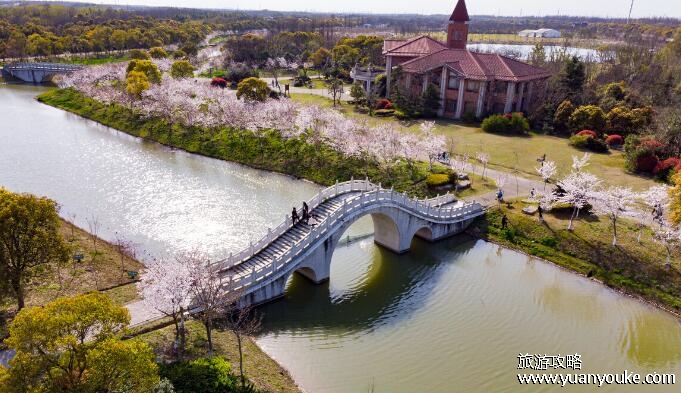 奉贤海湾森林公园在哪里，在上海市奉贤区(历史悠久的传统公园)