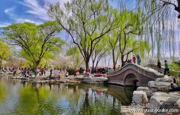 玉渊潭公园在哪，在北京市海淀区(四季风景如画的美丽公园)