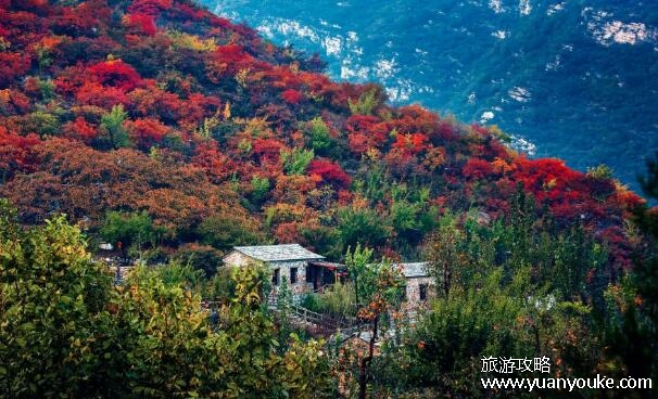 坡峰岭在哪里，在北京市房山区(四季景色都非常优美的壮观景区)