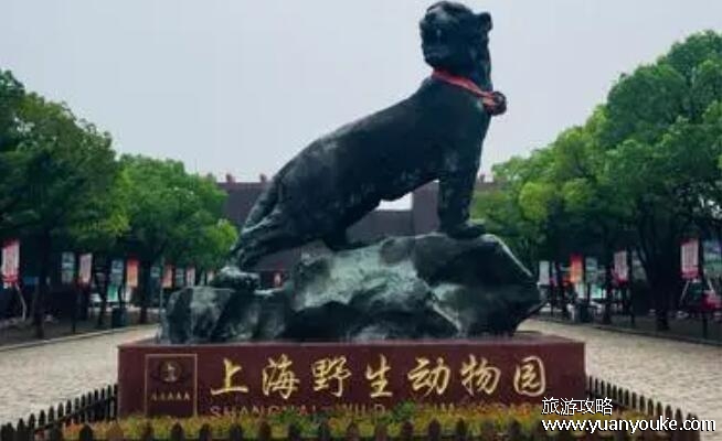 上海野生动物园门票，成人票165元学生票半价(8月份享受8折优惠购票)
