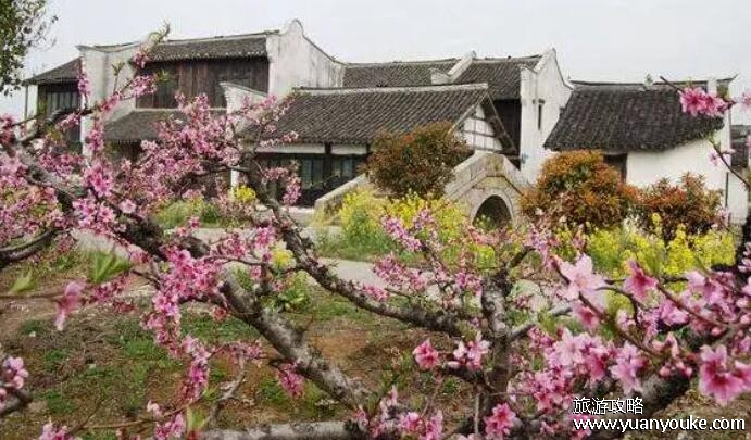 上海南汇桃花村门票多少钱，门票30元/人(性价比非常高的景点)