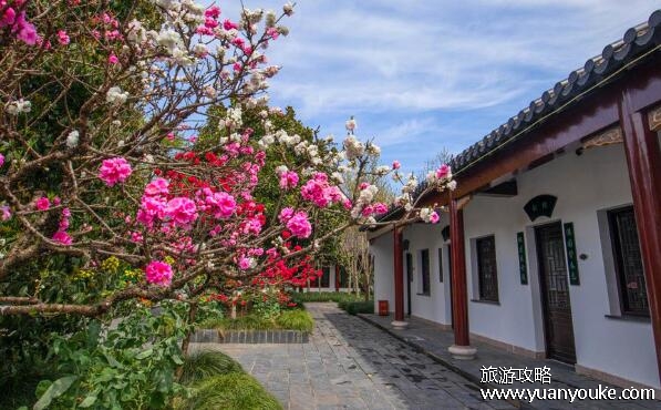 上海南汇桃花村门票多少钱，30元就能玩所有景点(性价比非常高)