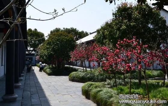 上海南汇桃花村门票多少钱，30元就能玩所有景点(性价比非常高)
