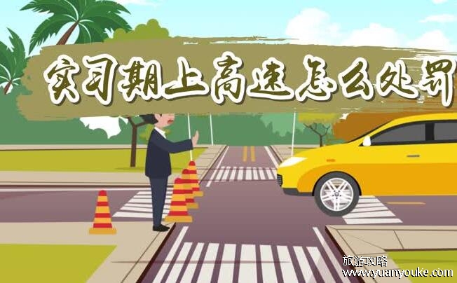 实习期上高速怎么处罚，没有3年以上驾龄的人陪同罚20元至200元的罚款