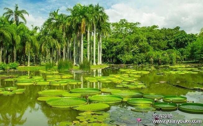 西双版纳好玩吗，少数民族风情加上热带雨林景观非常好玩(景点推荐)