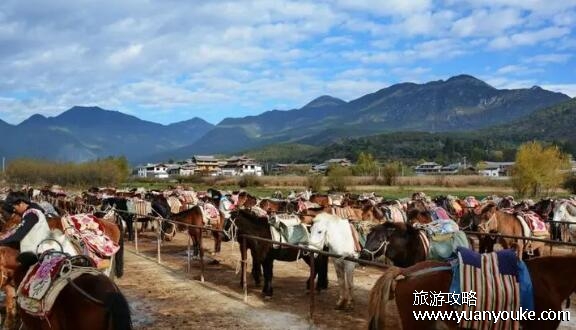 拉市海茶马古道值不值得去，值得一游的美丽景点(历史底蕴浓厚)