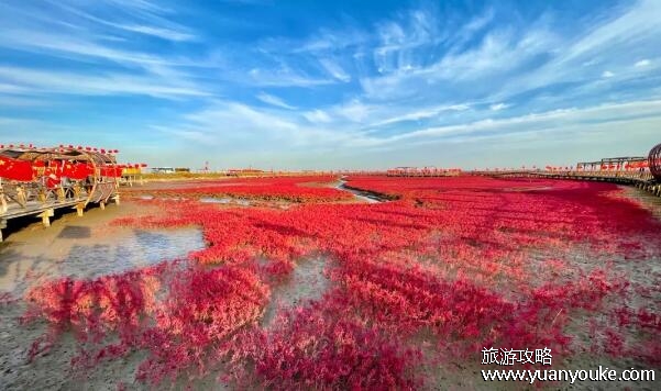 盘锦红海滩景区好玩吗，可以享受别具一格的视觉享受