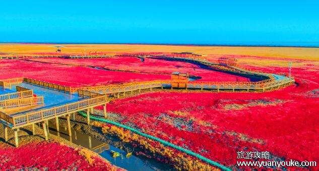 盘锦红海滩景区好玩吗，可以享受别具一格的视觉享受