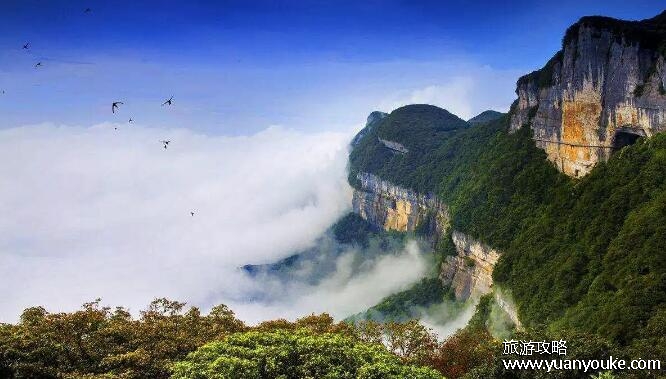 南川金佛山海拔多少米高，海拔高达2251米(著名国家风景名胜区)