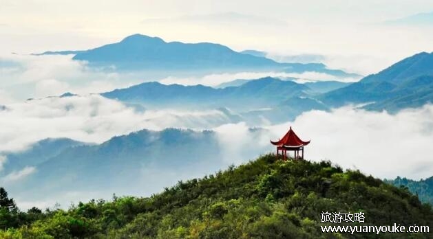阳明山国家森林公园在哪里，在江西省赣州市()