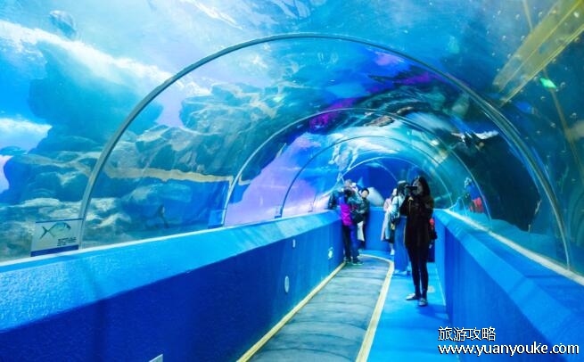 青岛海底世界门票价格，成人票170元(出行交通路线以及表演时间)