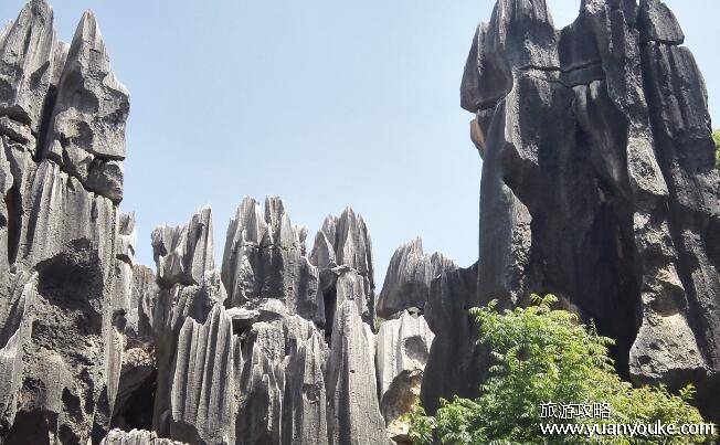 石林在什么地方，云南昆明石林彝族自治县境内(石林景区的主要景点)