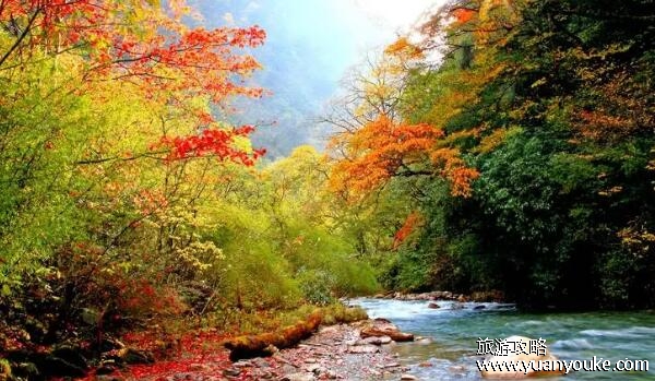 东拉山在什么地方，在四川雅安(藏族/彝族等少数民族的聚居地)