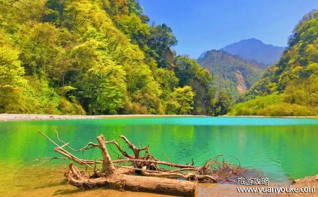 东拉山在什么地方，在四川雅安(藏族/彝族等少数民族的聚居地)