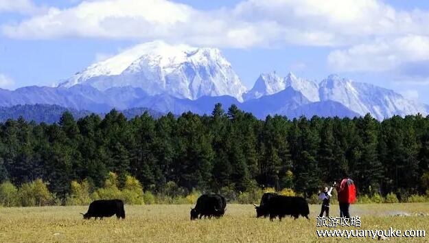 哈巴雪山在哪里个城市，在云南迪庆(民俗风情独特的旅游胜地)