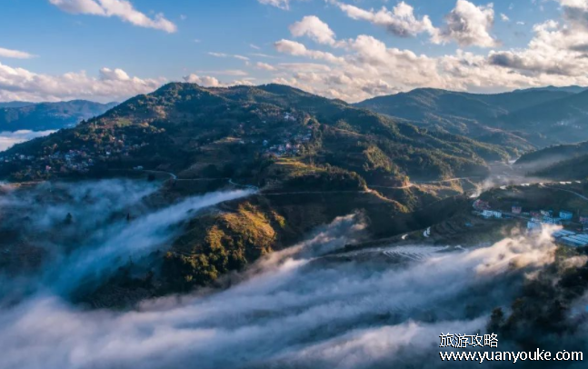 哀牢山是什么样的山，是一片山(人类的禁区却是动植物的天堂)
