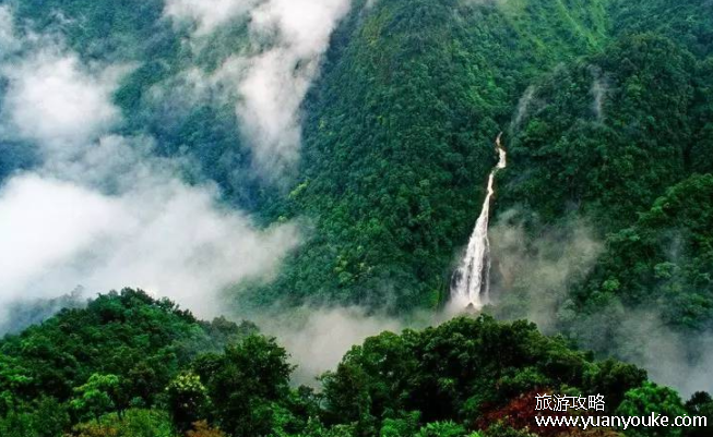 哀牢山是什么样的山，是一片山(人类的禁区却是动植物的天堂)