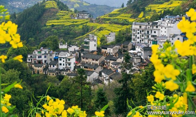 婺源在哪里，江西省上饶市(婺源县境内的风景区推荐)