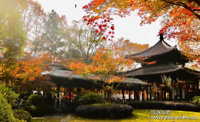 栖霞山门票多少钱，平日50元红枫节80元(6:30之前免费进出)