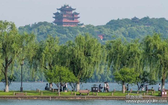 杭州西湖景区单双号限行规定2024，只在双休日和法定节假日实行