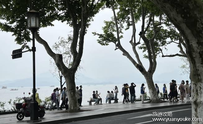 杭州西湖景区单双号限行规定2024，只在双休日和法定节假日实行