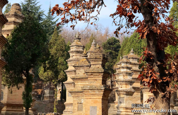 嵩山少林寺门票价格，80元一人(中岳景区80元/嵩阳景区80元)