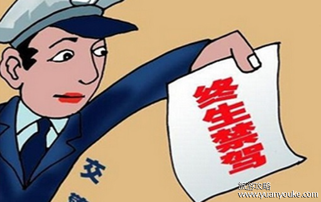 酒驾肇事会终生禁驾吗，终生不能获得驾驶证(酒驾肇事不能走交强险理赔)