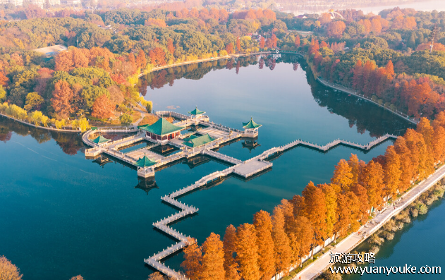 武汉东湖风景区在哪里，武汉市武昌区东部(由8大景区组成)