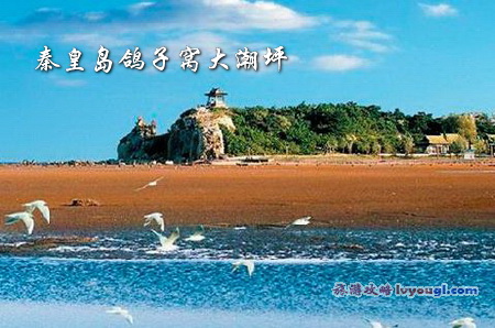 秦皇岛鸽子窝大潮坪