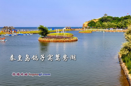 鸽子窝鸳鸯湖