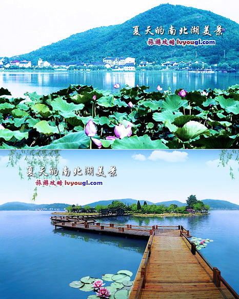 夏天的南北湖美景