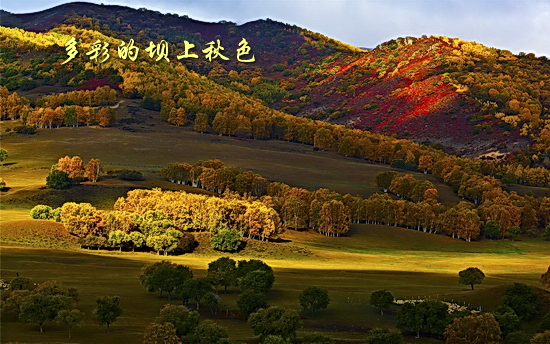 坝上秋色风光图片欣赏