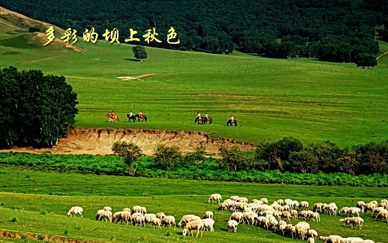 坝上秋色风光图片欣赏