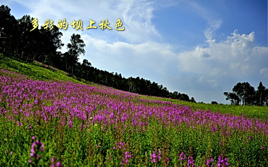 坝上秋色风光图片欣赏