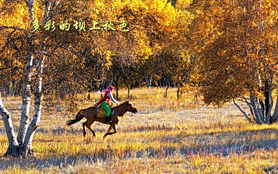 坝上秋色风光图片欣赏