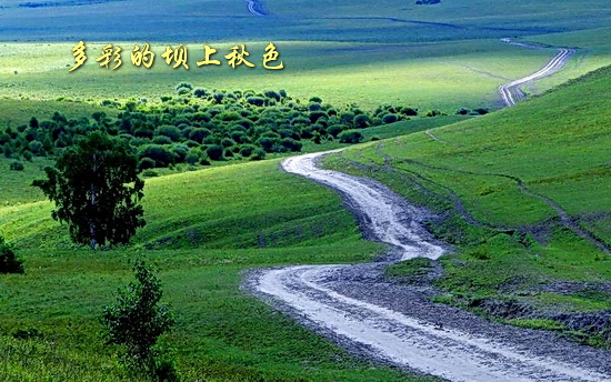 坝上秋色风光图片欣赏