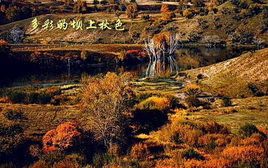 坝上秋色风光图片欣赏