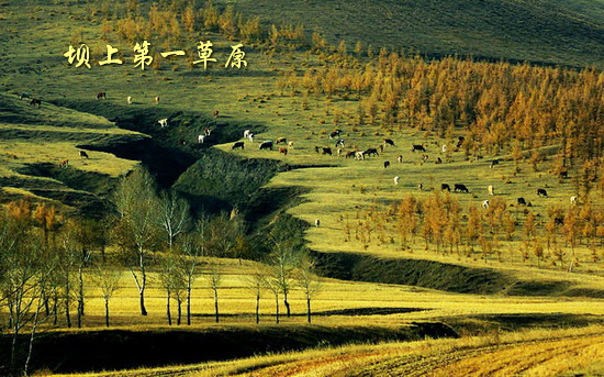 坝上第一草原