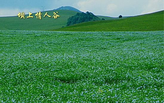 坝上情人谷