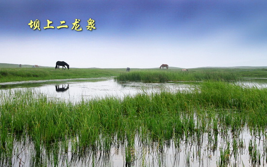 坝上二龙泉