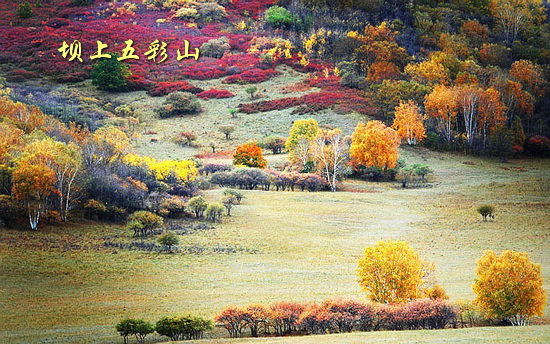 坝上五彩山
