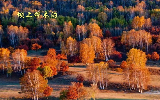 坝上桦木沟
