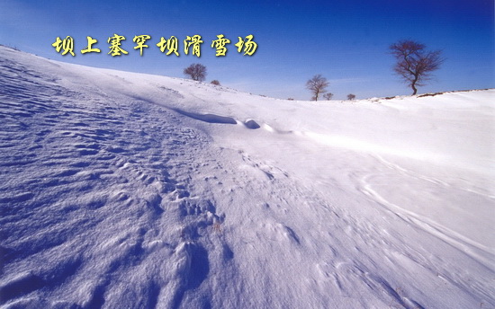 坝上塞罕坝滑雪场
