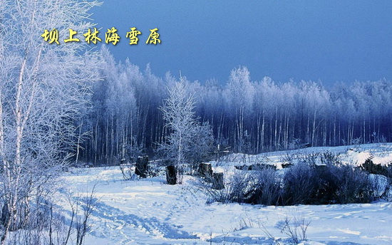 坝上林海雪原