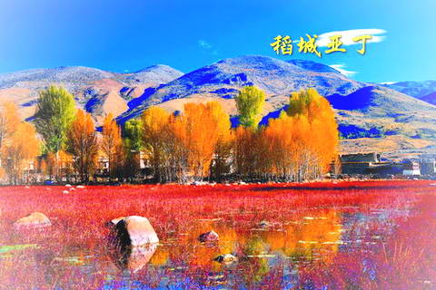 稻城亚丁美景图片