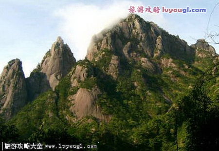 紫蓬山国家森林公园