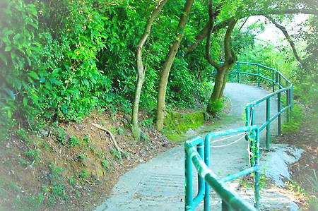 香港南丫岛旅游攻略