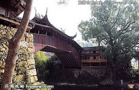 浙江泰顺古廊桥（14）图片欣赏