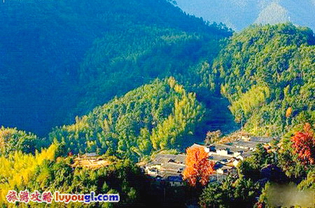 龙泉·下樟村——千年世外桃源