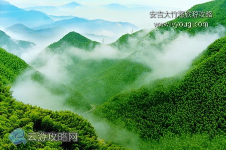 安吉大竹海自驾游攻略
